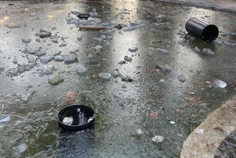 Zelenilo: Kreativnost vandala dostigla je novi nivo – ulošci iz korpi u biojezeru Zelenilo: Kreativnost vandala dostigla je novi nivo – ulošci iz korpi u biojezeru