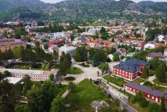 Cetinje: Policajac se ranio tokom intervencije zbog psa lutalice