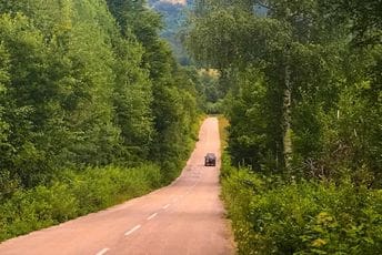 U institucijama razmišljaju o osnivanju još jednog preduzeća: Formiraće Crna Gora šume? U institucijama razmišljaju o osnivanju još jednog preduzeća: Formiraće Crna Gora šume?