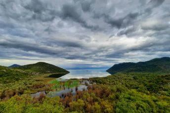 Uhapšen Cetinjanin: Tereti se da je Izazvao saobraćajnu nesreću na Skadarskom jezeru u kojoj je jedna osoba poginula