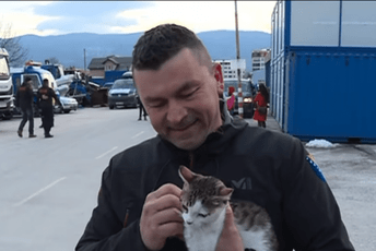 Još jedan dokaz humanosti: Spasilac iz BiH udomio mačku iz Turske Još jedan dokaz humanosti: Spasilac iz BiH udomio mačku iz Turske