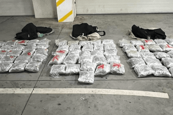 Zaplijenjeno 75 kg marihuane, uhapšena jedna osoba Zaplijenjeno 75 kg marihuane, uhapšena jedna osoba