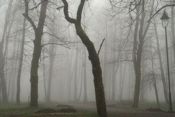 Ova sedmica uglavnom će biti tmurna i kišovita, ali postoji i dobra vijest Ova sedmica uglavnom će biti tmurna i kišovita, ali postoji i dobra vijest