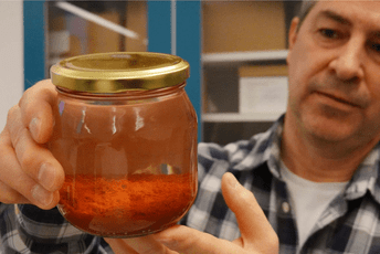 U brodu koji je potonuo 1495. pronađeni dobro očuvani začini U brodu koji je potonuo 1495. pronađeni dobro očuvani začini