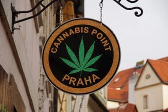 Češka nije priznala Crkvu kanabisa kao religiju Češka nije priznala Crkvu kanabisa kao religiju