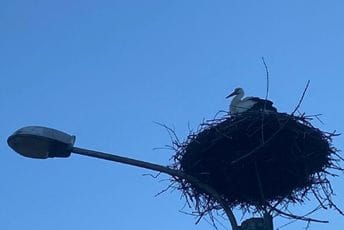 Berane: Prva roda stigla u Polimsku ulicu Berane: Prva roda stigla u Polimsku ulicu