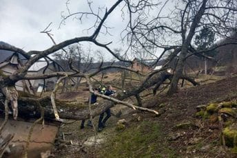 (FOTO) Mojkovac: Drvo se obrušilo i ugrozilo pomoćni objekat (FOTO) Mojkovac: Drvo se obrušilo i ugrozilo pomoćni objekat