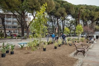 Telemach u petoj zelenoj akciji: Stotinu sadnica za šetalište u Herceg Novom Telemach u petoj zelenoj akciji: Stotinu sadnica za šetalište u Herceg Novom