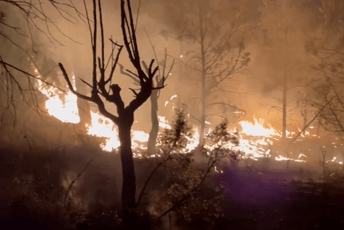 Španija: Bukti šumski požar, stotine ljudi evakuisano Španija: Bukti šumski požar, stotine ljudi evakuisano