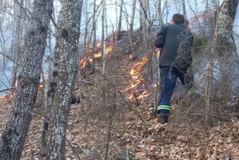 Gorjelo u blizini Mojkovca: "Učestalost požara isključivo ljudski faktor" Gorjelo u blizini Mojkovca: "Učestalost požara isključivo ljudski faktor"