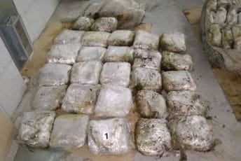 U naselju Podhum pronađeno skoro 90 kilograma skanka U naselju Podhum pronađeno skoro 90 kilograma skanka