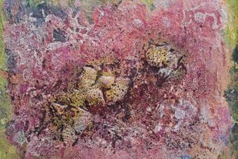 Likovnim zrcalom „pleše“ u kosmogoniji svijetova Likovnim zrcalom „pleše“ u kosmogoniji svijetova