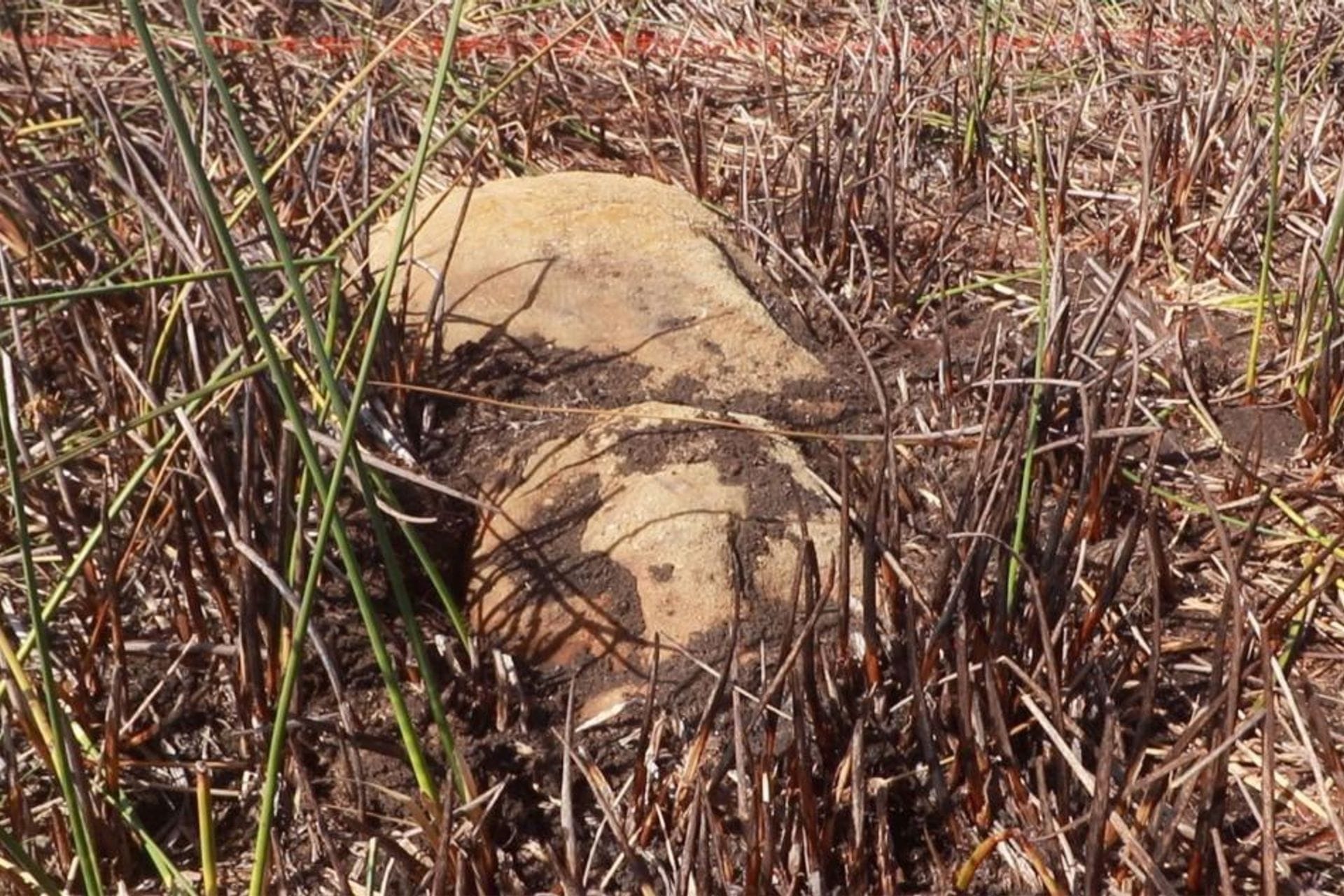 Fotografija 1: Jedna od najvećih misterija čovječanstva na izolovanom ostrvu: Izronila nova skulptura