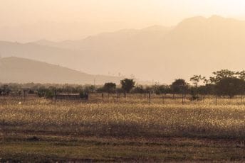 Detalji optužnice: Boljeviću prijetili ubistvom na Ćemovskom polju Detalji optužnice: Boljeviću prijetili ubistvom na Ćemovskom polju