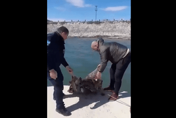 Zaposleni u NP Skadarsko jezero u reonu Vranjine pronašli 200 kg ribe, pa vratili u jezero Zaposleni u NP Skadarsko jezero u reonu Vranjine pronašli 200 kg ribe, pa vratili u jezero