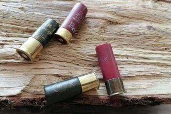 Olovna sačma zabranjena i kod nas, ali samo „na papiru“ Olovna sačma zabranjena i kod nas, ali samo „na papiru“