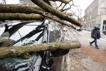 Kanada: Stotine hiljada domova bez struje zbog ledene oluje Kanada: Stotine hiljada domova bez struje zbog ledene oluje