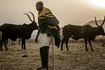 Bukti krvavi rat između nomada i farmera, broj žrtava je ogroman Bukti krvavi rat između nomada i farmera, broj žrtava je ogroman