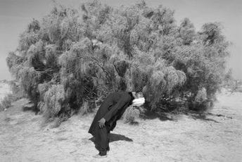 Sony Awards: Ovo su najbolje fotografije na ovogodišnjem konkursu Sony Awards: Ovo su najbolje fotografije na ovogodišnjem konkursu