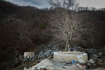 Besmrtnost iz pepela Besmrtnost iz pepela