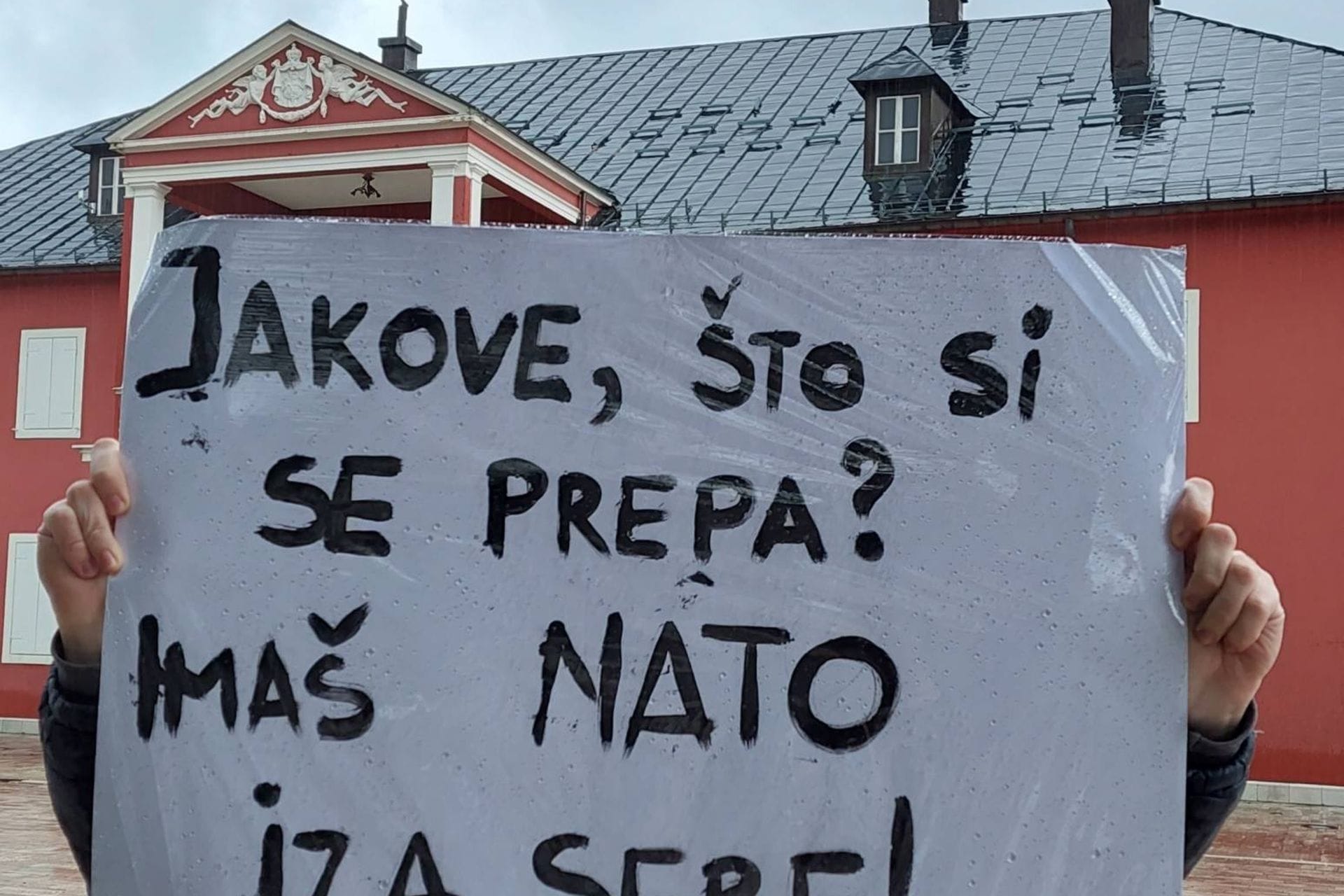 Fotografija 1: Sa šetnje za Ukrajinu sa Cetinja poručeno: Spremamo se za kontraofanzivu