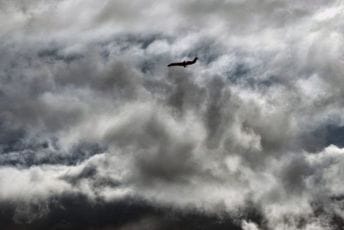 Zapalio se avion “FlyDubai” sa 167 putnika Zapalio se avion “FlyDubai” sa 167 putnika