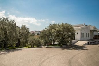 Mentorska podrška doprinosi povećanju rentabilnosti i likvidnosti poslovanja mikro, malih i srednjih preduzeća Mentorska podrška doprinosi povećanju rentabilnosti i likvidnosti poslovanja mikro, malih i srednjih preduzeća