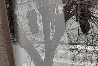 (FOTO) Popovi SPC osveštavaju kancelariju predsjednika opštine Pljevlja (FOTO) Popovi SPC osveštavaju kancelariju predsjednika opštine Pljevlja