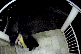 Podgorica: Nepoznati muškarac napao ženu na vratima njenog stana Podgorica: Nepoznati muškarac napao ženu na vratima njenog stana