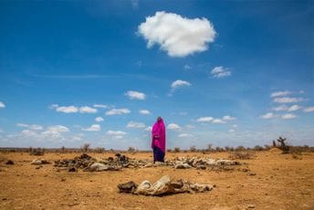 Zemlja užasa: Jedini način da njihova djeca dobiju hranu i vodu je da – završe u bolnici Zemlja užasa: Jedini način da njihova djeca dobiju hranu i vodu je da – završe u bolnici