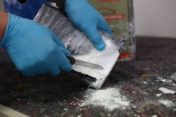 Hrvatska: U riječkoj luci zaplijenjeno više od pola tone kokaina vrijednog 20 miliona eura