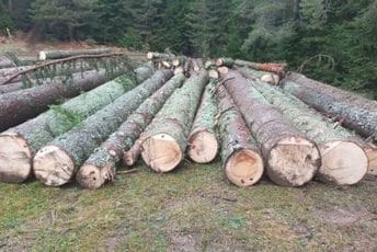 Stanje alarmantno, prošle i ove godine nestalo je 30.000 kubika šume Stanje alarmantno, prošle i ove godine nestalo je 30.000 kubika šume