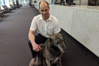 Kandidat za gradonačelnika najvećeg kanadskog grada je pas Kandidat za gradonačelnika najvećeg kanadskog grada je pas