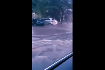 Snimci nevremena u Novom Sadu: Ljudi stoje na krovovima auta, „rijeke“ na ulicama