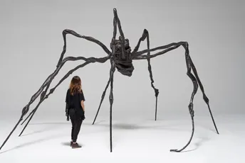 Skulptura pauka prodata za više od 30 miliona dolara Skulptura pauka prodata za više od 30 miliona dolara