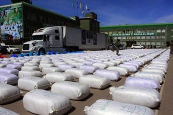 U Boliviji zaplijenjeno 9,2 tone lista koke U Boliviji zaplijenjeno 9,2 tone lista koke