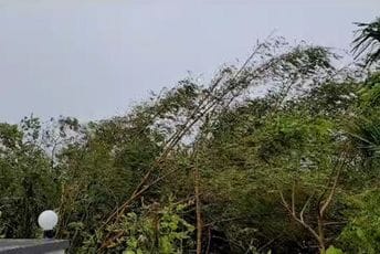 Stiže užasan tajfun: Ljudi sa zalihama pobjegli u skloništa, Bajden proglasio vanredno stanje (VIDEO) Stiže užasan tajfun: Ljudi sa zalihama pobjegli u skloništa, Bajden proglasio vanredno stanje (VIDEO)