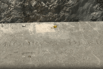 Potpuna nebriga: Grob Dada Đurića zapušten, ime gotovo izbrisano Potpuna nebriga: Grob Dada Đurića zapušten, ime gotovo izbrisano