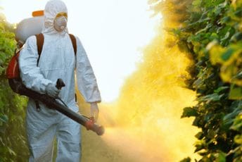 Zaprašivanje komaraca na teritoriji Podgorice počinje danas