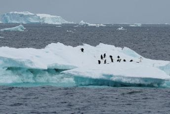 Upozorenje naučnika: Arktik bi do 2030. mogao da ostane bez morskog leda