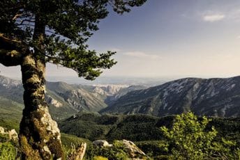 Mrdak: Uspostavljanje Natura 2000 mreže u Dinaridima obaveza i razvojna šansa Ilustracija