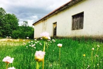 Ovo su najmanja birališta u Crnoj Gori: Na jednom je svega osam glasača Ovo su najmanja birališta u Crnoj Gori: Na jednom je svega osam glasača