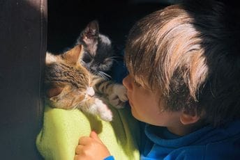 Istraživanje pokazalo: Djeca koja imaju kućne ljubimce manje su sklona alergijama Ilustracija