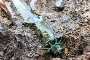 U Njemačkoj pronađen mač star više od 3.000 godina U Njemačkoj pronađen mač star više od 3.000 godina