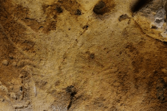 U pećini u Francuskoj nađene rezbarije neandertalaca stare 57.000 godina U pećini u Francuskoj nađene rezbarije neandertalaca stare 57.000 godina