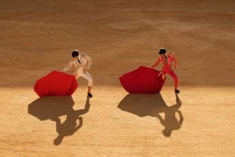 Izbori u Španiji jako će uticati i na okrutne borbe u koridama Izbori u Španiji jako će uticati i na okrutne borbe u koridama