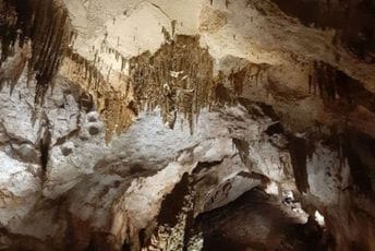 Posjeta s mirisom avanture: Lipska pećina Posjeta s mirisom avanture: Lipska pećina