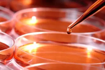 Domaru zasmetala buka alarma pa ga ugasio: Uništio dvadesetogodišnje istraživanje, šteta million dolara Domaru zasmetala buka alarma pa ga ugasio: Uništio dvadesetogodišnje istraživanje, šteta million dolara