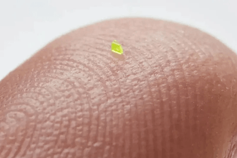 Torbica mikroskopske veličine prodata za 63.750 dolara Torbica mikroskopske veličine prodata za 63.750 dolara