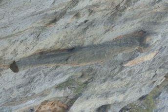 Izlet u istoriju mitova Crne Gore: Legenda o okamenjenoj "aždaji" u barskim Menkama Izlet u istoriju mitova Crne Gore: Legenda o okamenjenoj "aždaji" u barskim Menkama